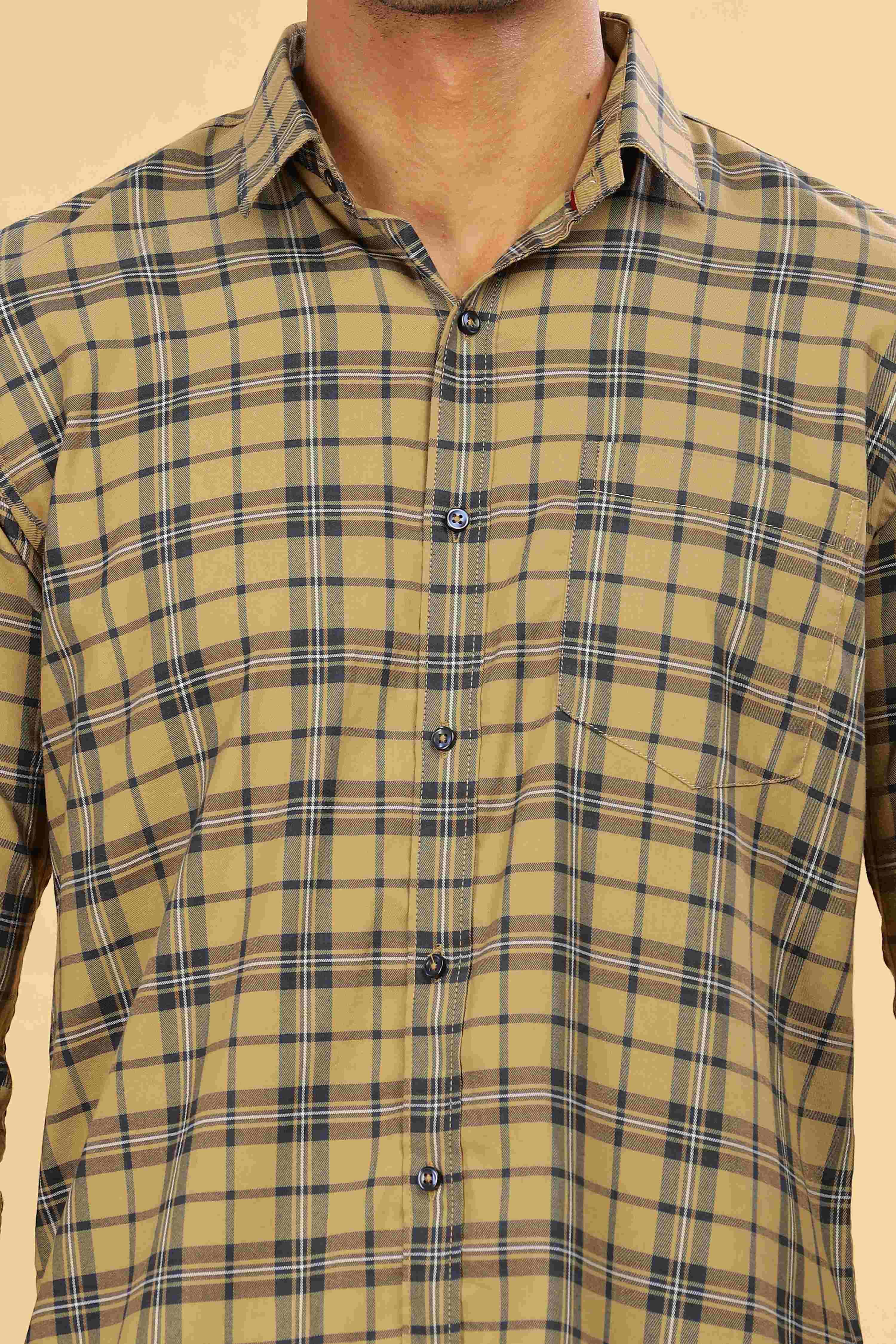Men's Checkered Regular Fit Shirt