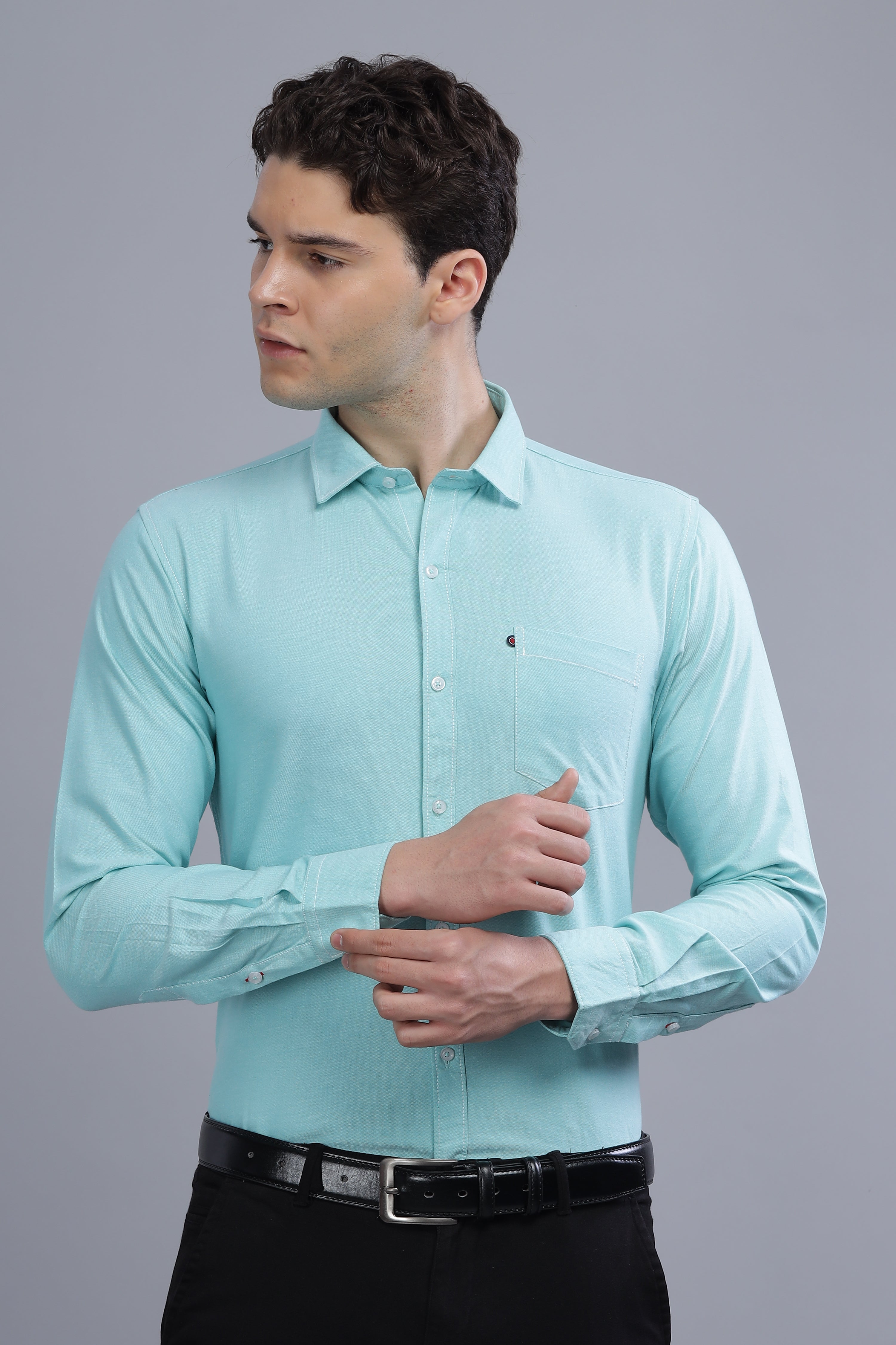 Regular Fit Medium Green shirt